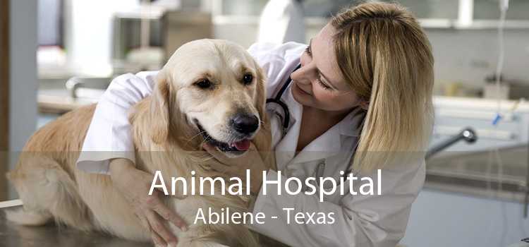 Animal Hospital Abilene - Texas