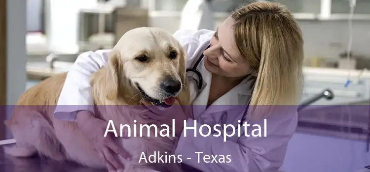 Animal Hospital Adkins - Texas