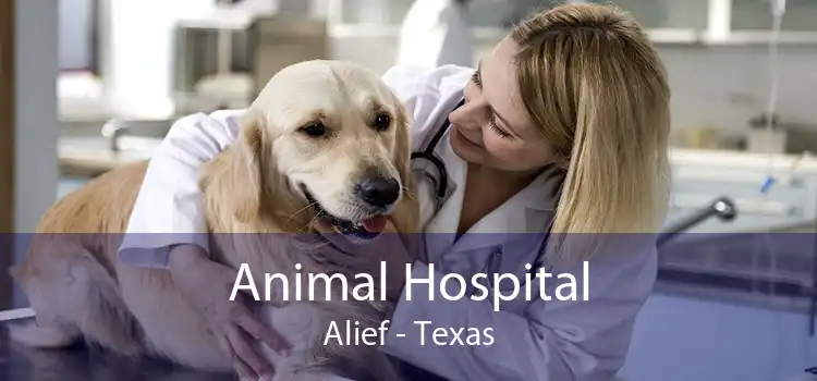 Animal Hospital Alief - Texas