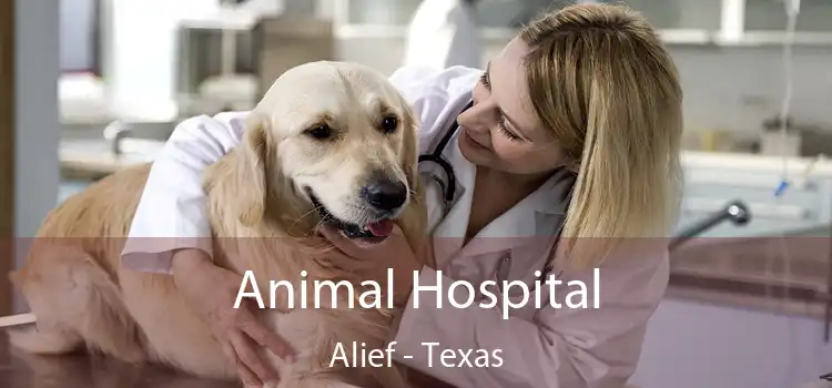 Animal Hospital Alief - Texas