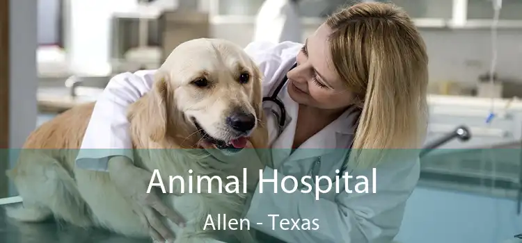 Animal Hospital Allen - Texas