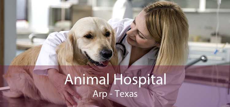 Animal Hospital Arp - Texas