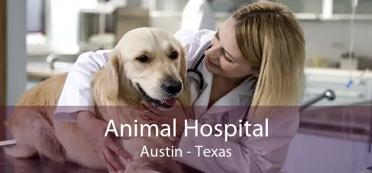 Animal Hospital Austin - Texas