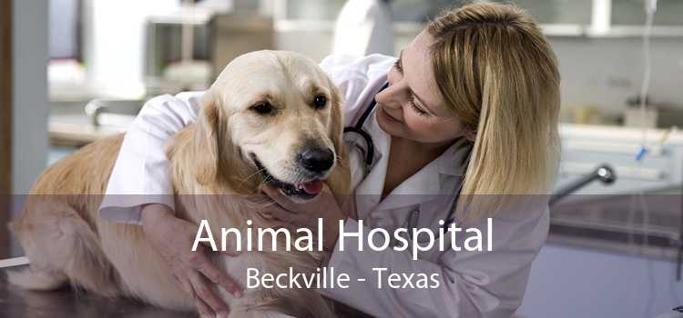 Animal Hospital Beckville - Texas