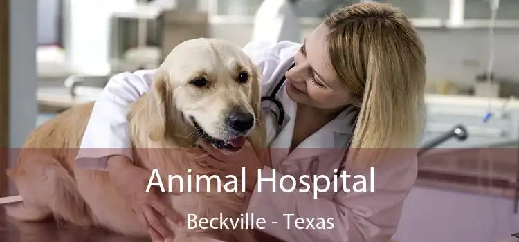 Animal Hospital Beckville - Texas