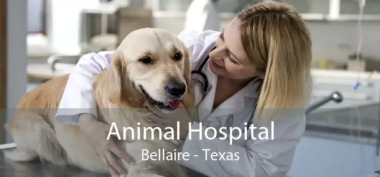 Animal Hospital Bellaire - Texas