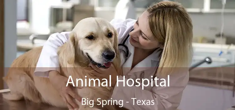 Animal Hospital Big Spring - Texas