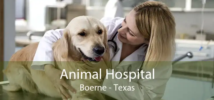 Animal Hospital Boerne - Texas