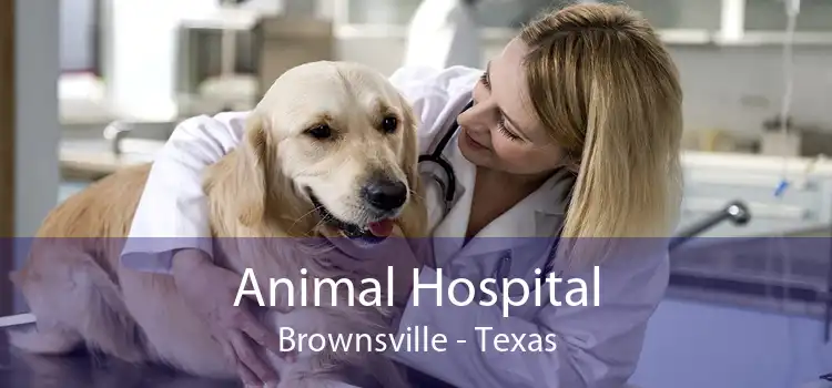 Animal Hospital Brownsville - Texas