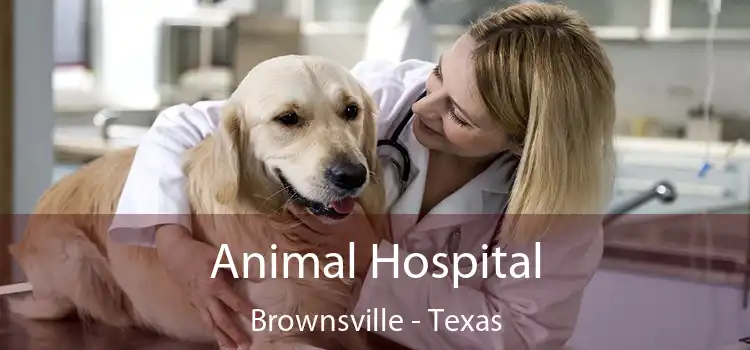 Animal Hospital Brownsville - Texas