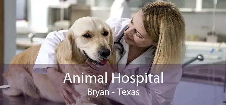 Animal Hospital Bryan - Texas