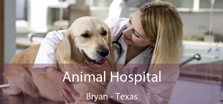 Animal Hospital Bryan - Texas