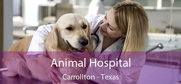 Animal Hospital Carrollton - Texas