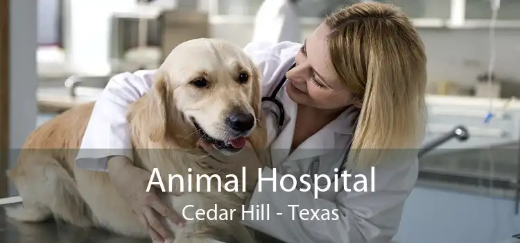 Animal Hospital Cedar Hill - Texas