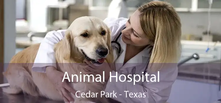 Animal Hospital Cedar Park - Texas