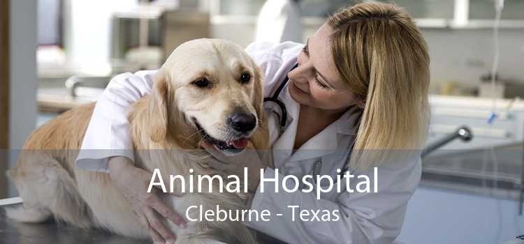 Animal Hospital Cleburne - Texas