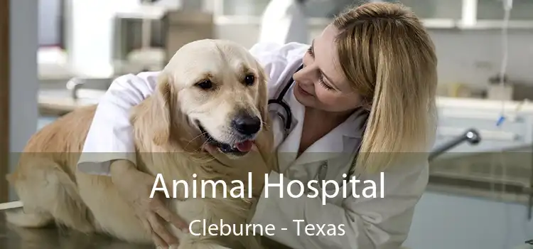 Animal Hospital Cleburne - Texas