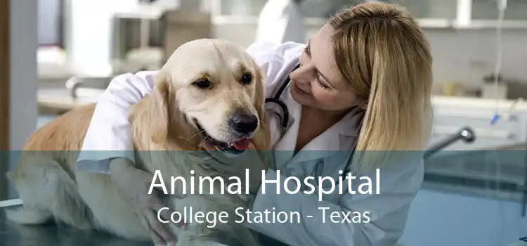 Animal Hospital College Station - Texas
