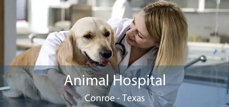 Animal Hospital Conroe - Texas