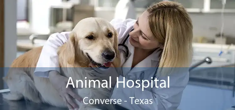 Animal Hospital Converse - Texas