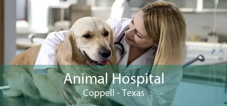 Animal Hospital Coppell - Texas