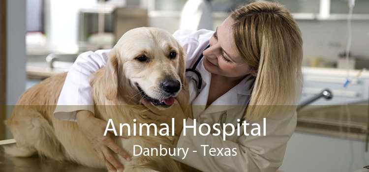 Animal Hospital Danbury - Texas