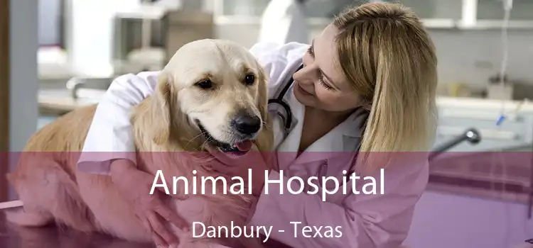 Animal Hospital Danbury - Texas