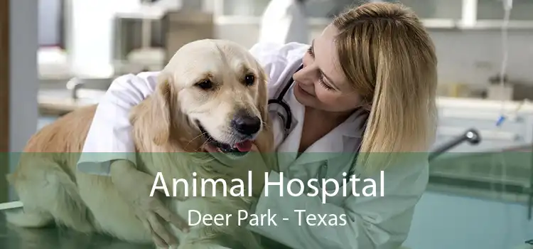 Animal Hospital Deer Park - Texas