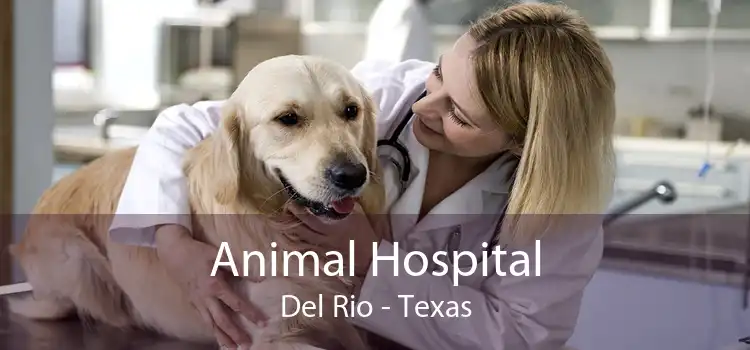 Animal Hospital Del Rio - Texas