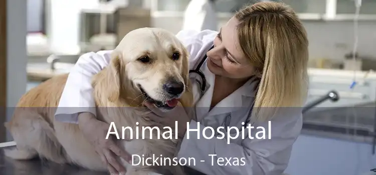 Animal Hospital Dickinson - Texas