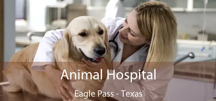 Animal Hospital Eagle Pass - Texas