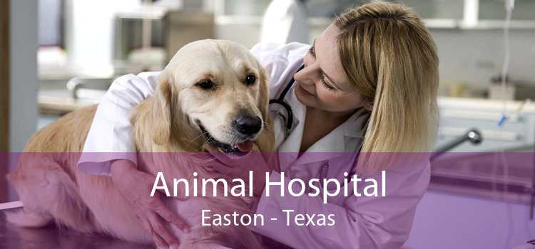 Animal Hospital Easton - Texas