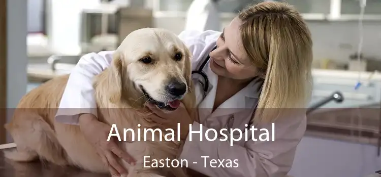 Animal Hospital Easton - Texas