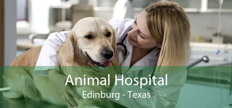 Animal Hospital Edinburg - Texas