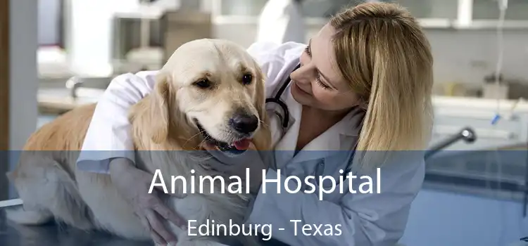 Animal Hospital Edinburg - Texas