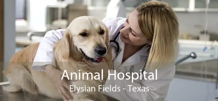 Animal Hospital Elysian Fields - Texas