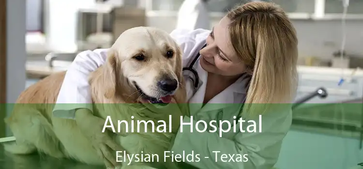 Animal Hospital Elysian Fields - Texas