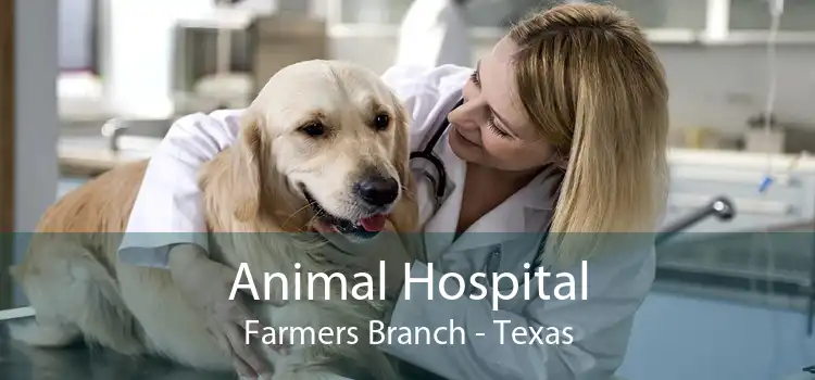 Animal Hospital Farmers Branch - Texas