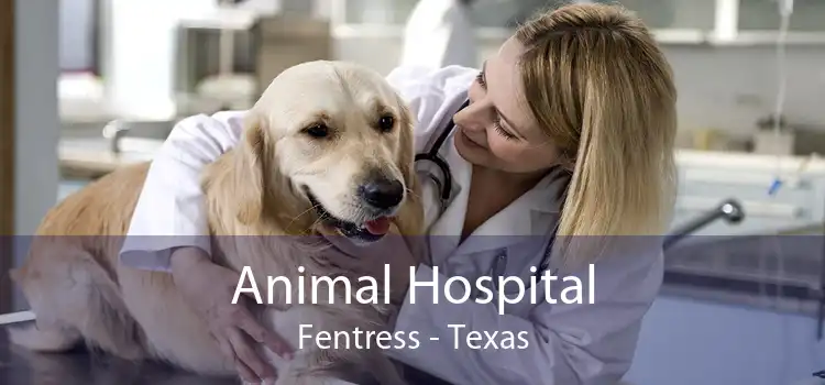 Animal Hospital Fentress - Texas