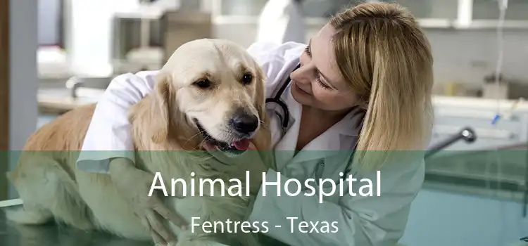 Animal Hospital Fentress - Texas