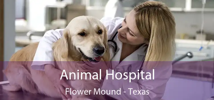 Animal Hospital Flower Mound - Texas