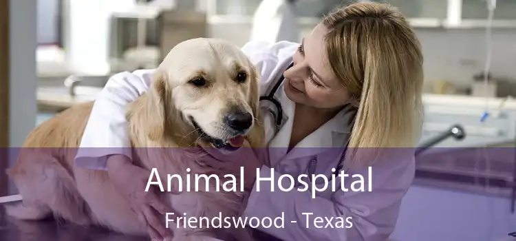 Animal Hospital Friendswood - Texas