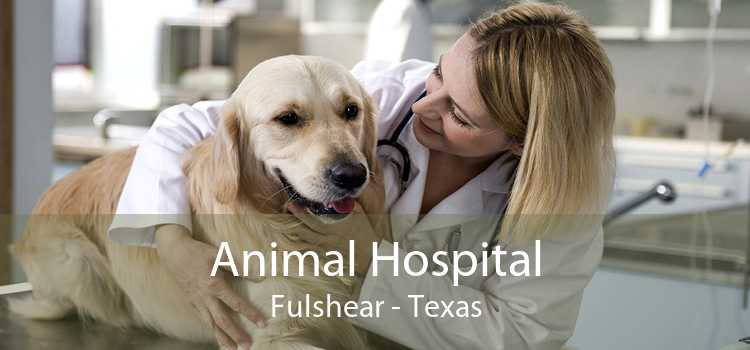 Animal Hospital Fulshear - Texas