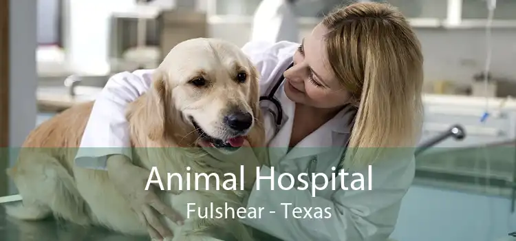 Animal Hospital Fulshear - Texas