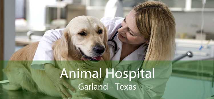 Animal Hospital Garland - Texas