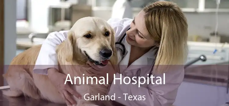 Animal Hospital Garland - Texas