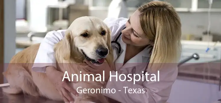 Animal Hospital Geronimo - Texas