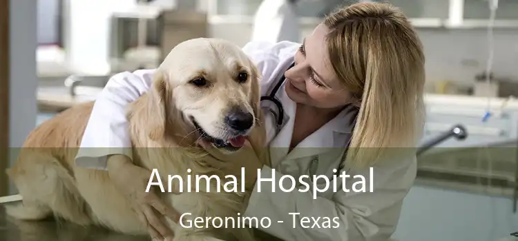 Animal Hospital Geronimo - Texas