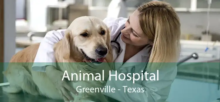 Animal Hospital Greenville - Texas