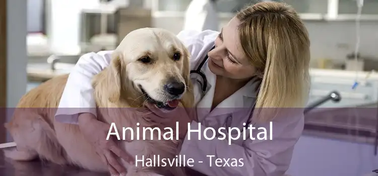 Animal Hospital Hallsville - Texas